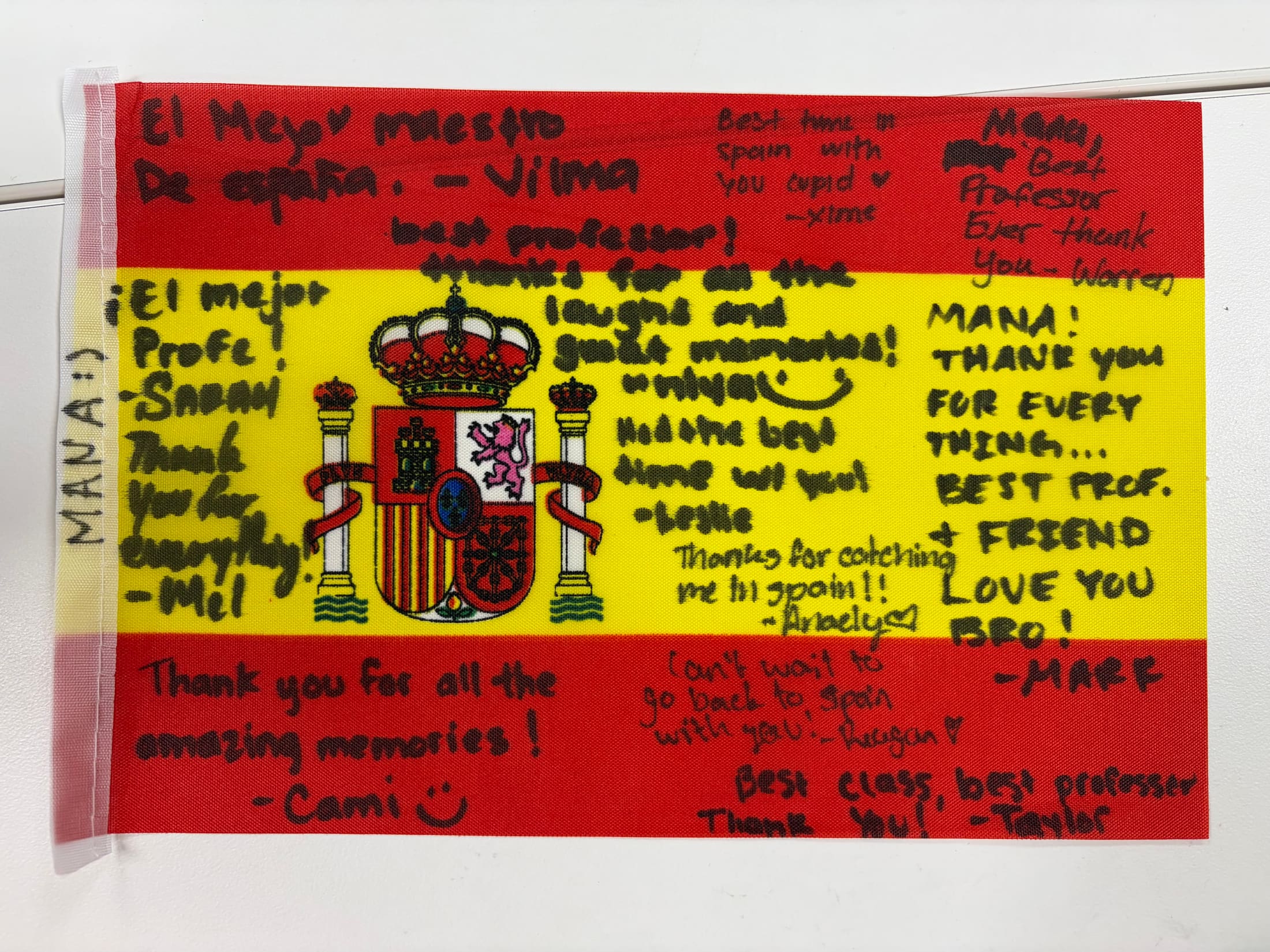 Mana with a flag during a FAB 333 reunion moment
